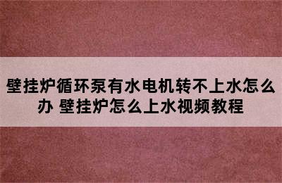 壁挂炉循环泵有水电机转不上水怎么办 壁挂炉怎么上水视频教程